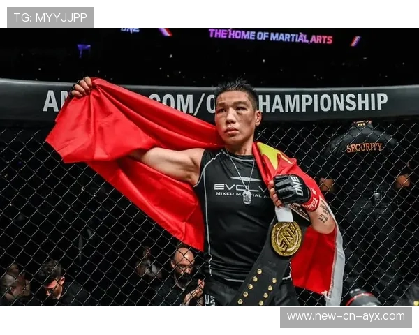 MMA飞膝一击致命瞬间：一场令人震撼的KO经典