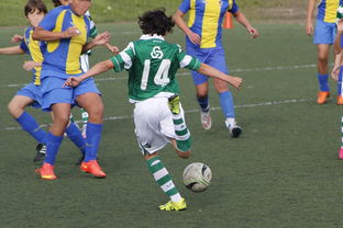 爱游戏平台-体育新闻中心发布体育内容原创度评估智能工具，原创体育sports