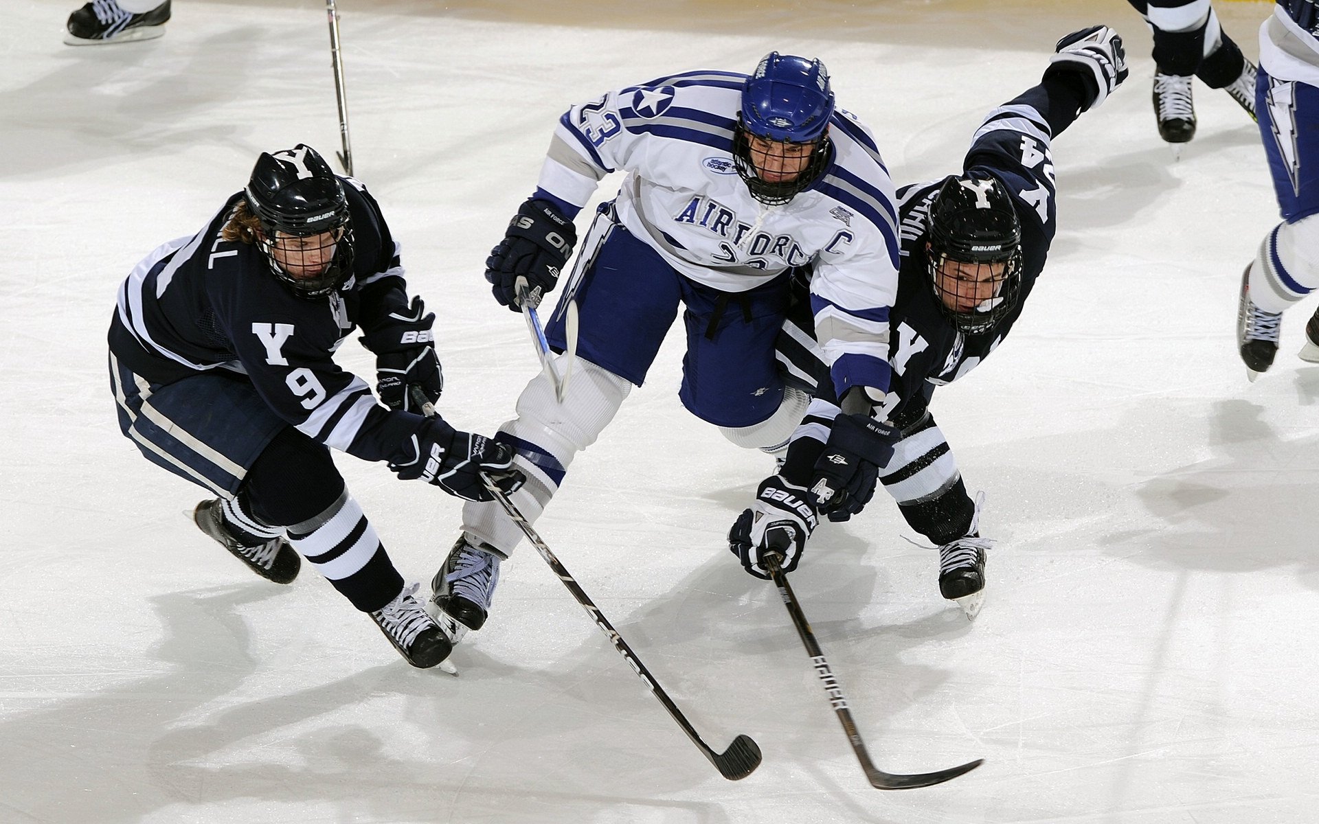女子排球世界杯赛事进展，女子排球世界联赛