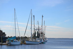 爱游戏体育-台风助力惠州海鲜增多，赶海活动热度攀升，惠州的台风要什么时候来什么时候走